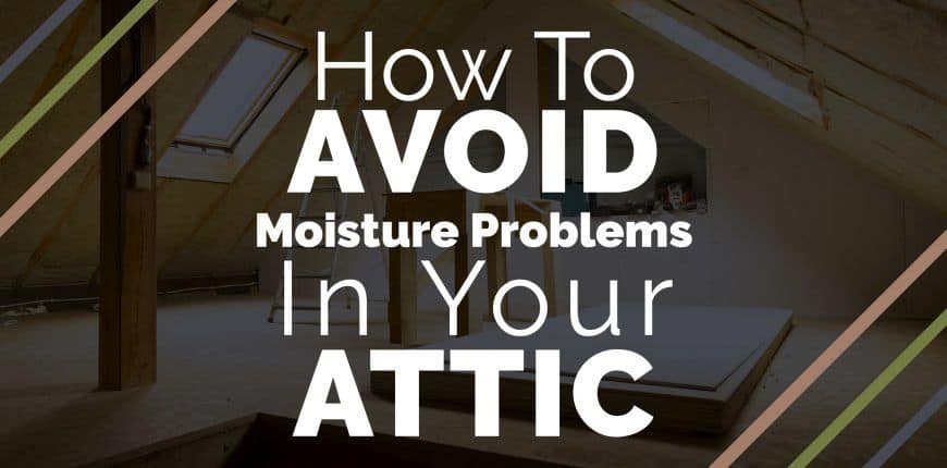 BLOG Avoid Attic 01 870x430 1