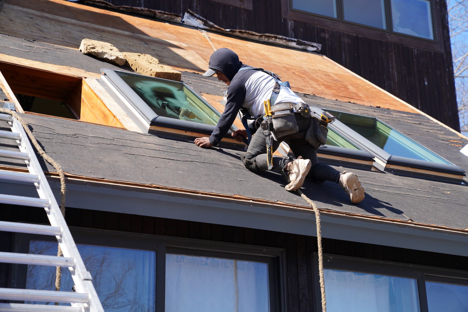 Velux Skylights